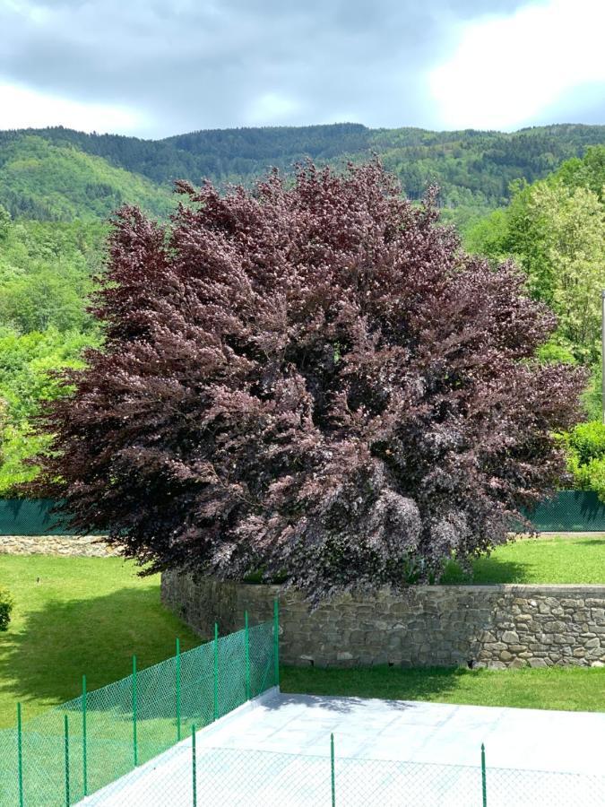 Nidi Del Faggio Rosso - Family Holiday Home Maresca Экстерьер фото